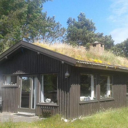 Konkylien Villa Pandrup Buitenkant foto